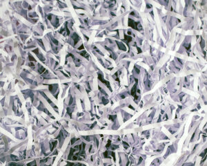 Shredded Paper