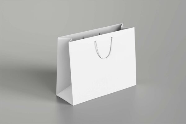 White Paper Shopping Bags