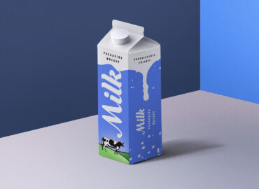 Milk Carton Box Dimension